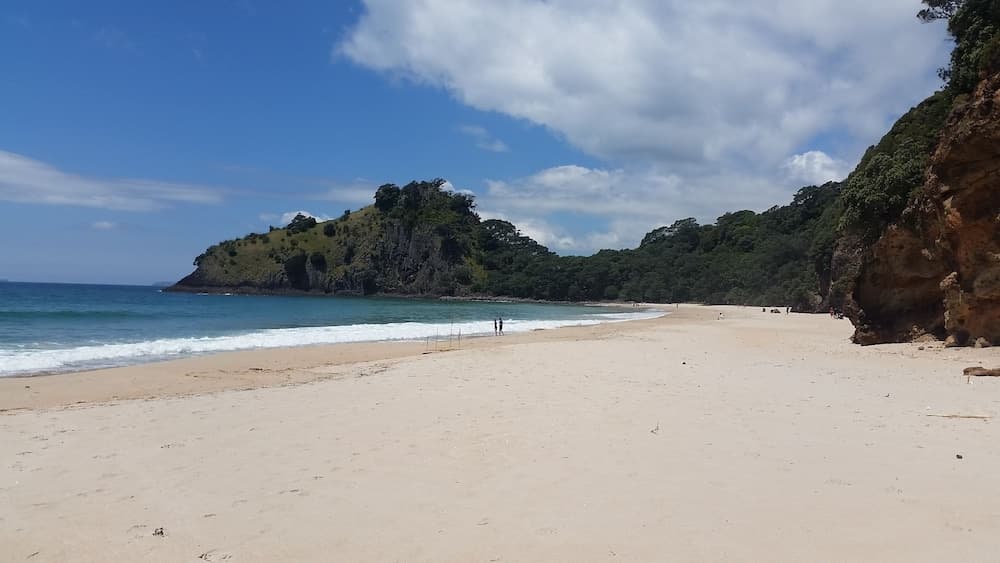 Coromandel Views Bed & Breakfast