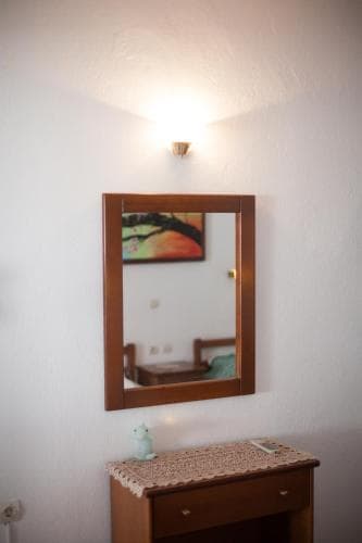 Delfini
