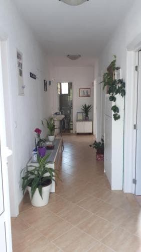 Apartman Pinto