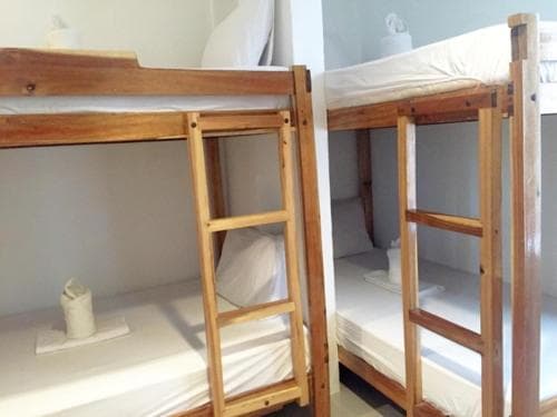 Pawikan Hostel