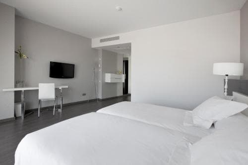 Hotel MasMonzon