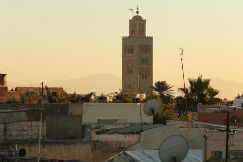 Riad Zehar