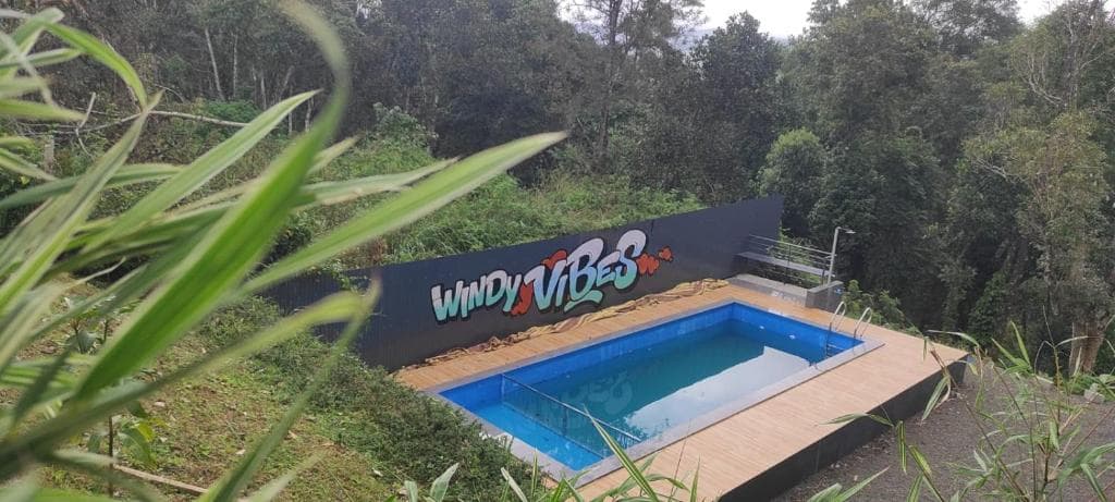 Windy Vibes