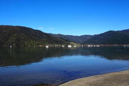 Linkwater Motel and Backpackers