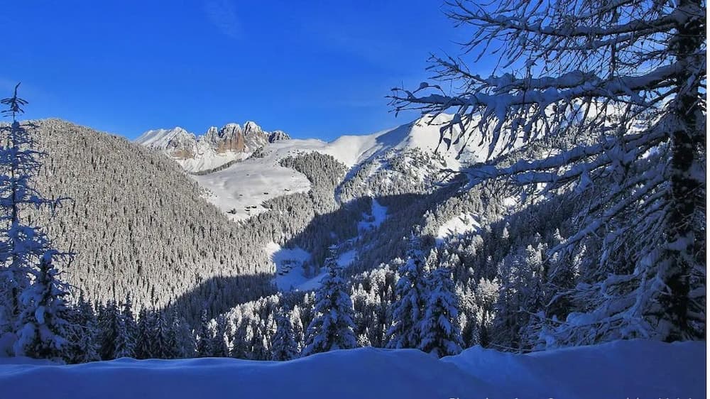 Majon de Sabin