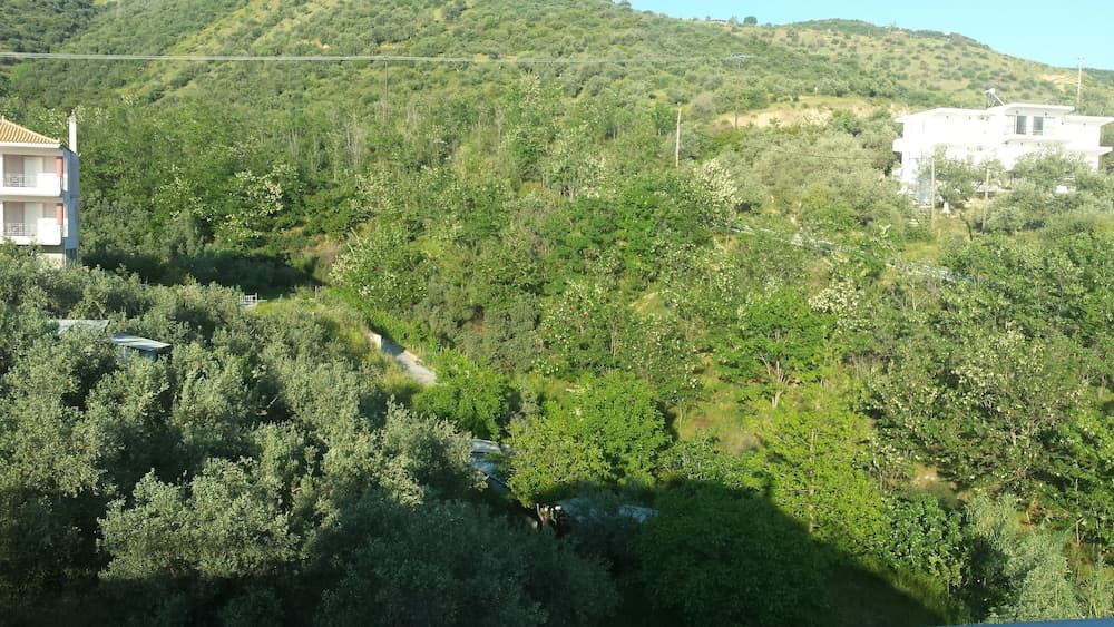 Anemos Studios