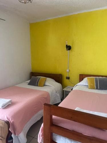 Hostal Avenue