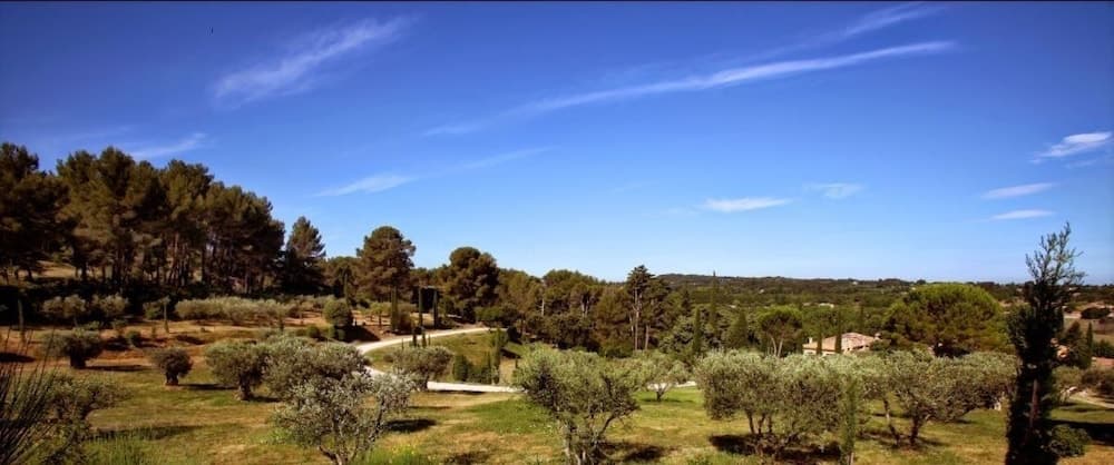 The Provence Experience