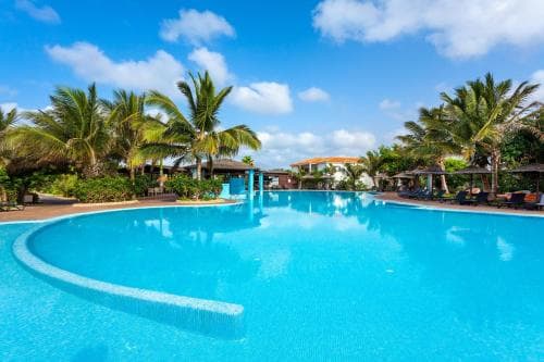 A serene tropical resort pool surrounded by lush palm trees under a bright blue sky, ideal for relaxing vacations and leisurely getaways.