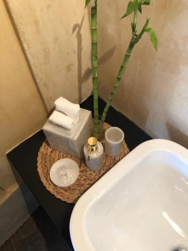 A serene bathroom corner features a modern sink beside a black countertop adorned with neatly folded towels, bamboo plants, and decorative items, creating a tranquil spa-like atmosphere ideal for relaxation-focused travel experiences.