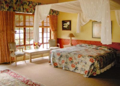 Guinea Lodge