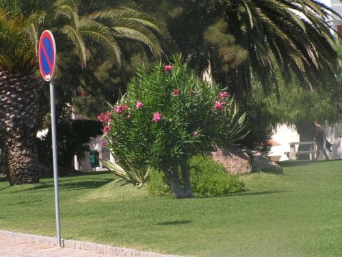 Iberlagos