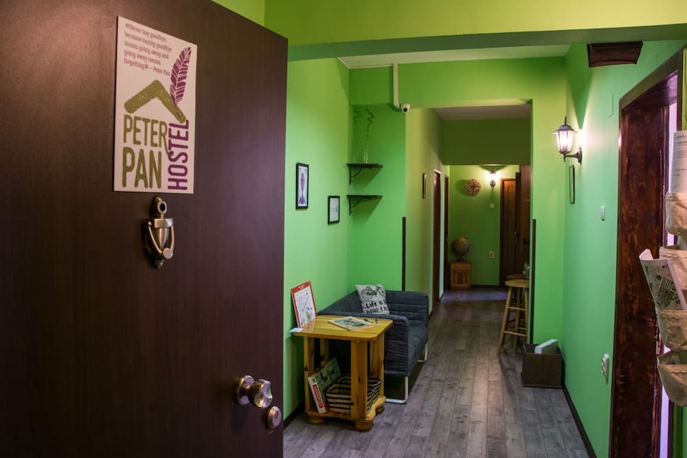 A cozy hostel hallway with vibrant green walls, wooden floors, and inviting furniture creates a welcoming atmosphere for travelers seeking budget-friendly accommodations.