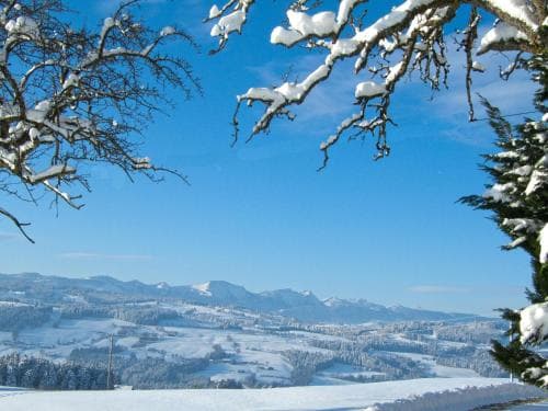 Hotel Allgäu Garni