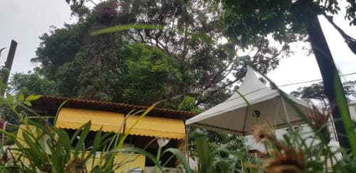 Hostel Yellow House