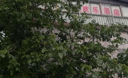 Beijing Joy Hotel