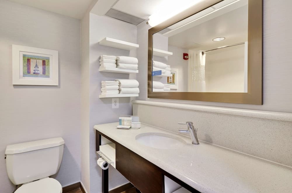 Hampton Inn Alexandria/Old Town