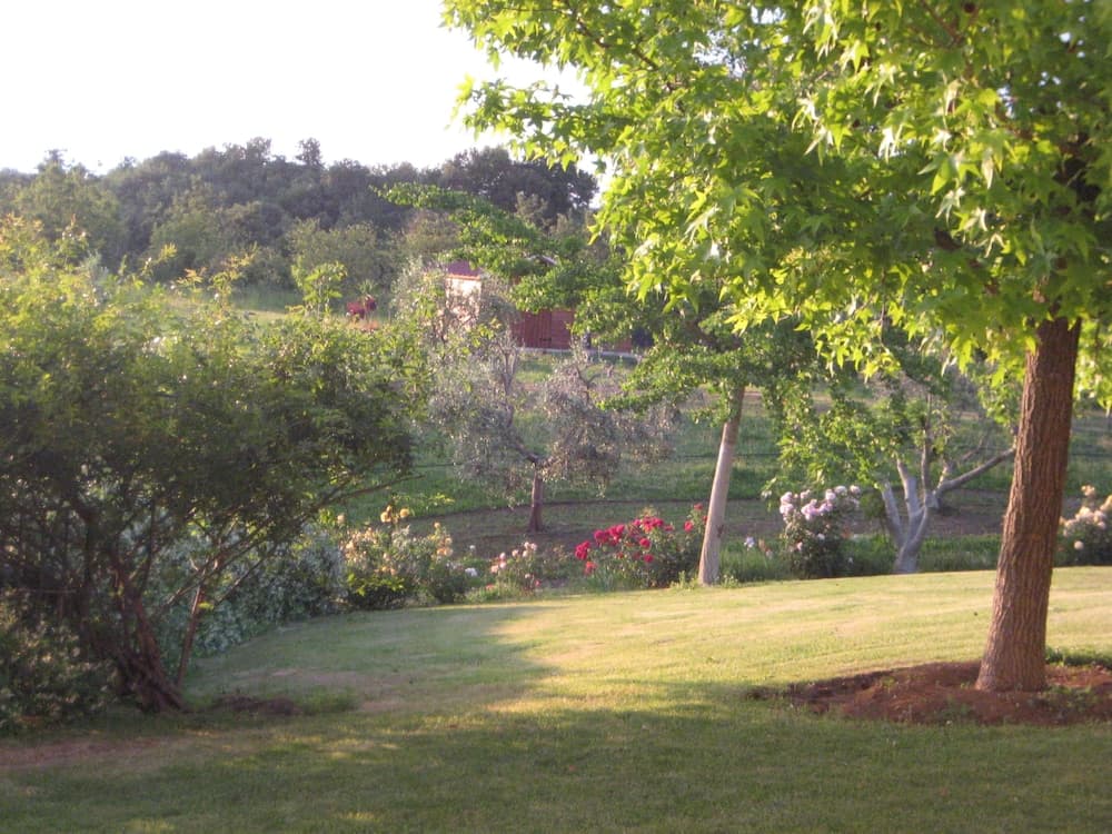 Suncave Gardens