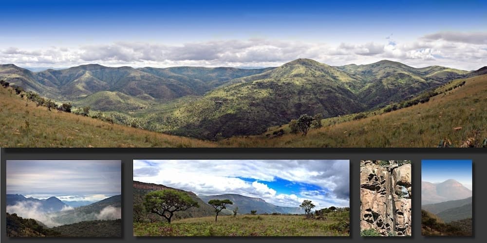 Black Leopard Camp