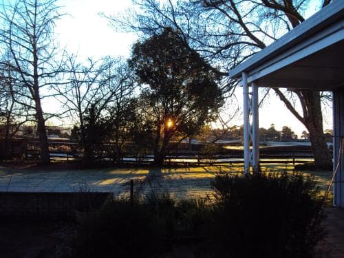 Dalbeth
