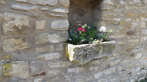 Pear Tree House B&B