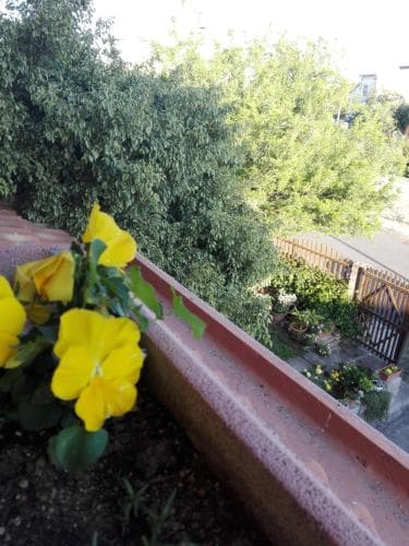 BB Da Bona