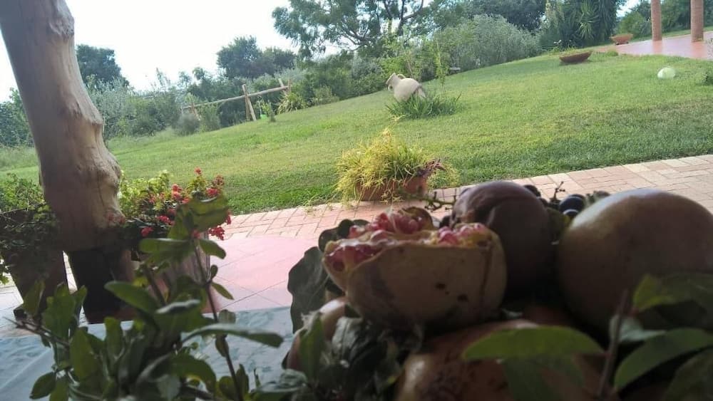 Bed and Breakfast Macchia d'Olmo