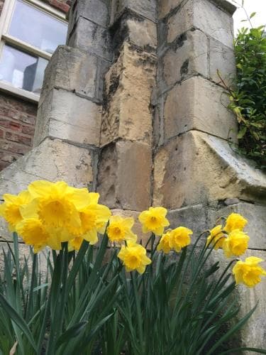 The York Priory
