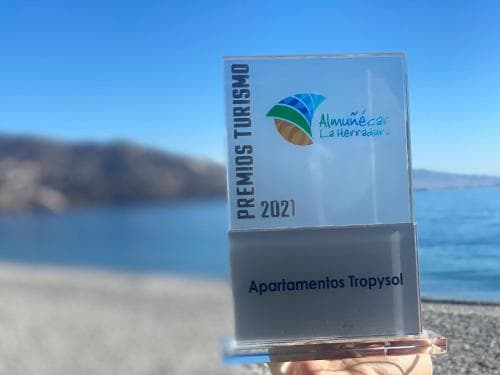 Apartamentos Tao