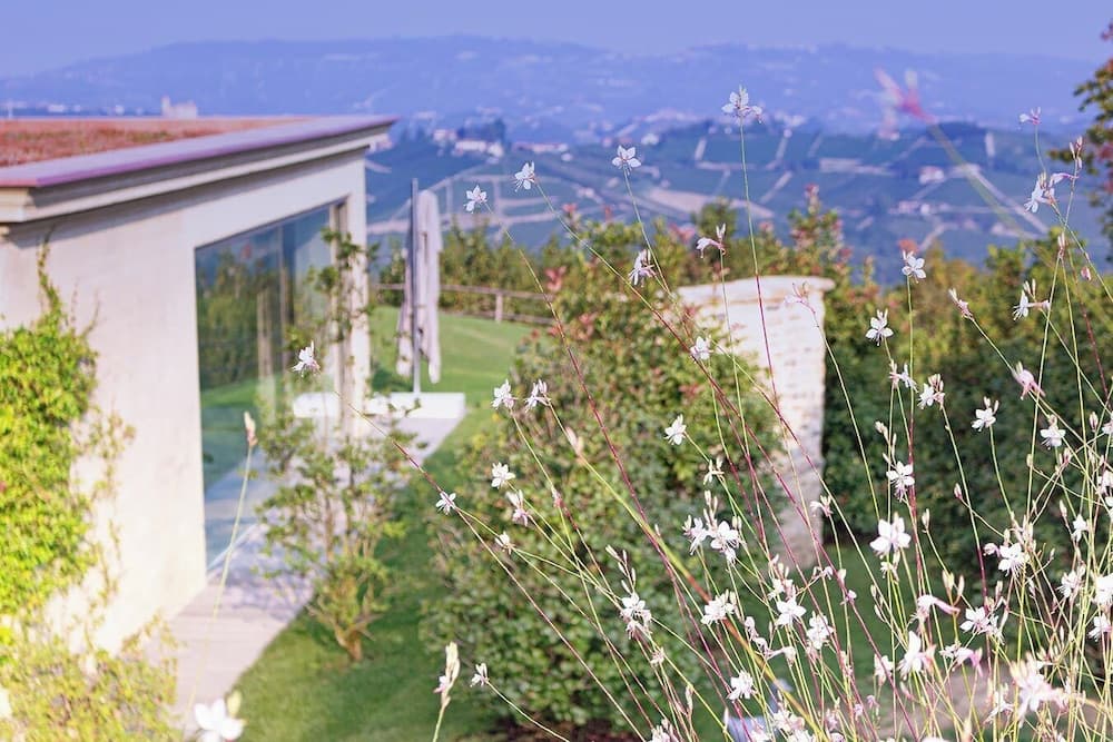 Tenuta Bricchi