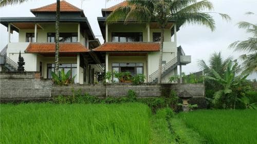 A serene tropical villa with terracotta roofs overlooks lush green rice paddies, ideal for travelers seeking a peaceful retreat amidst nature.