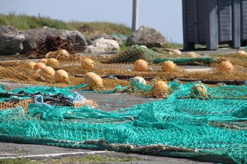 Face aux Flots
