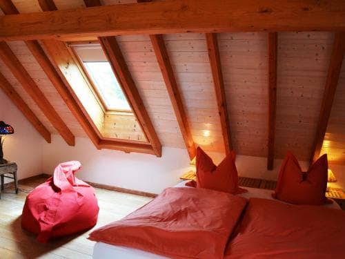 Chat au Grumbach