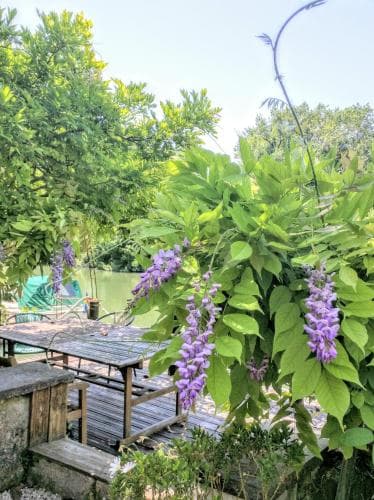Quai des Fleurs Bed and Breakfast