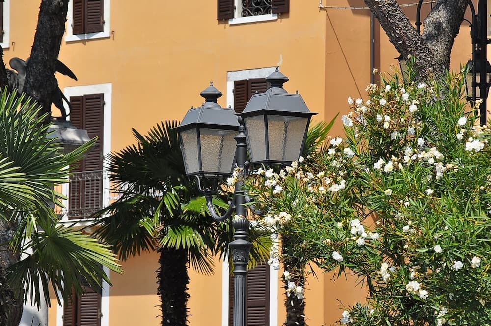 A charming European street scene features vintage lampposts glowing softly amidst lush palm trees and flowering bushes against the backdrop of a warm-toned building with shuttered windows, ideal for travelers seeking picturesque urban escapes.