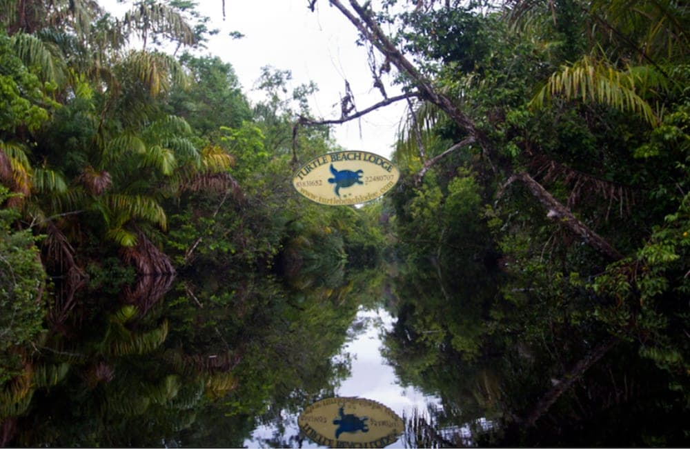 Turtle Beach Lodge