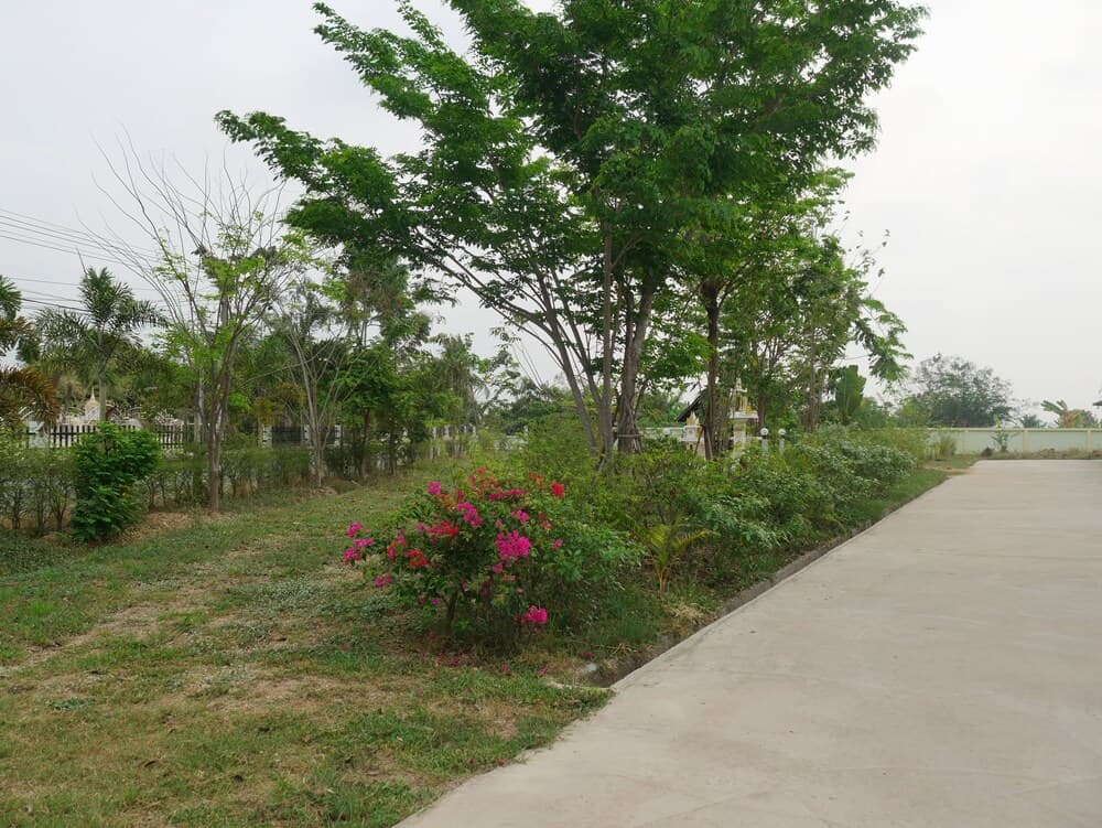 Viriya Resort