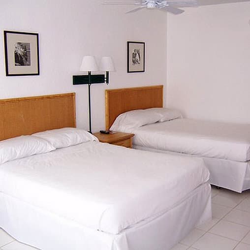 Surf Club