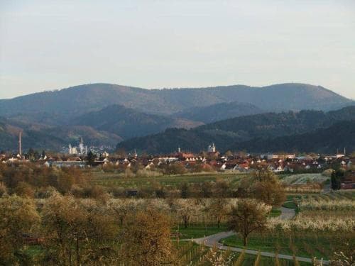Danner - Moosblick