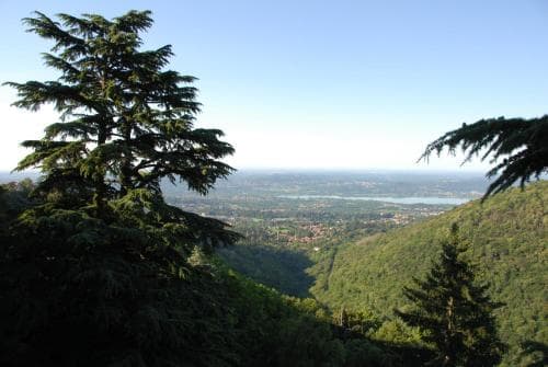 Il Parco e gli Affreschi