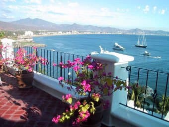 Dolphin Cove Inn