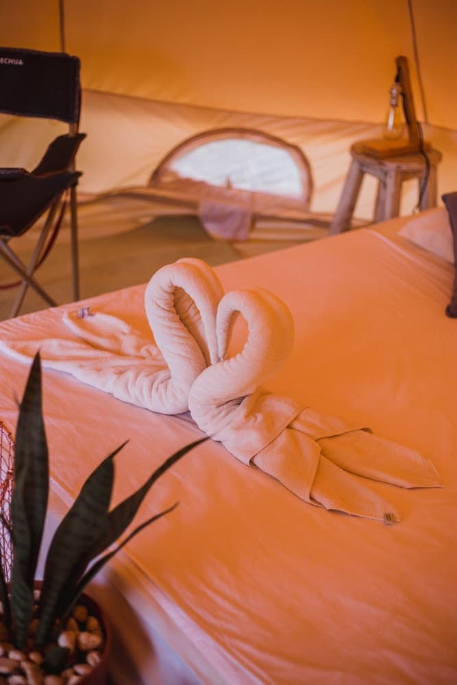 Roost Glamping - SHA Certified