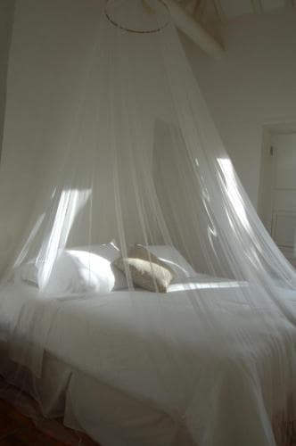 Suite Assul
