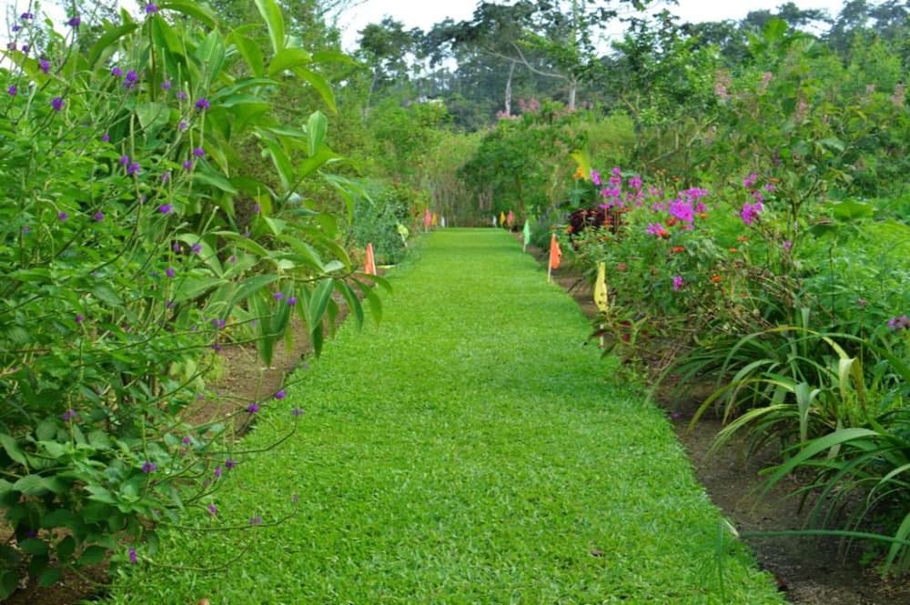 Finca Don Juan