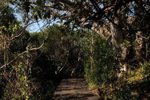 Prana Lodge