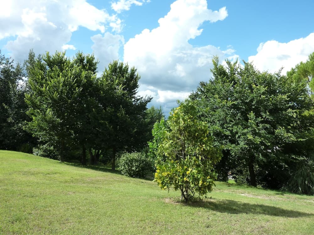 La Rocca