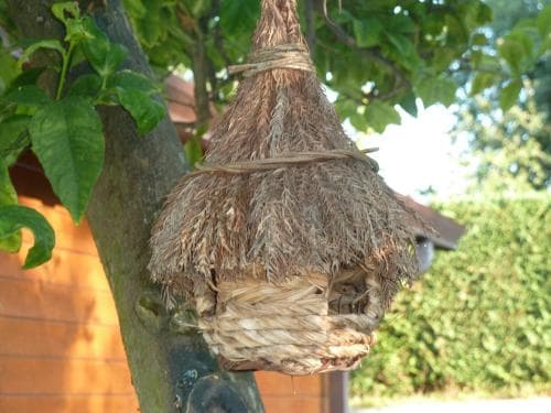 B&B o'Chalet