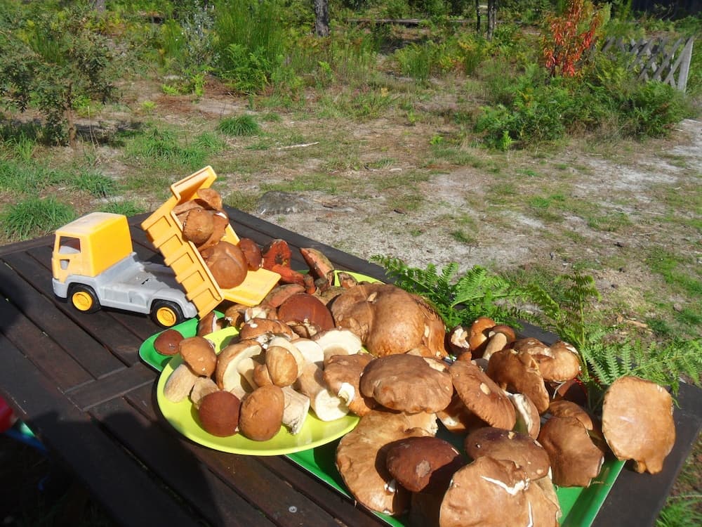 Cap Cabane