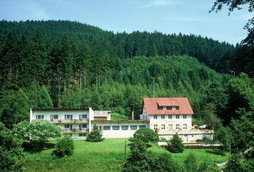 Waldhotel Pension Pfeiferhaus