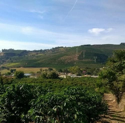 Pousada Primavera Da Serra